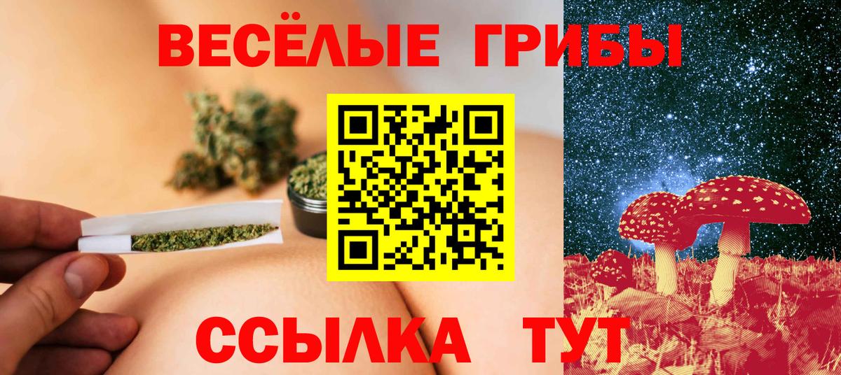 Галлюциногенные грибы ЛСД Тулун