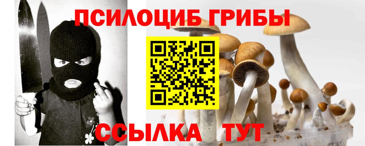 Псилоцибиновые грибы Magic Shrooms  Вход с VPN  что такое наркотик  Тулун 